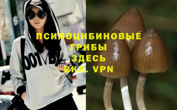 дистиллят марихуана Нефтекумск