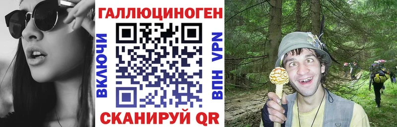 Купить где Оханск Галлюциногенные грибы Psilocybine cubensis